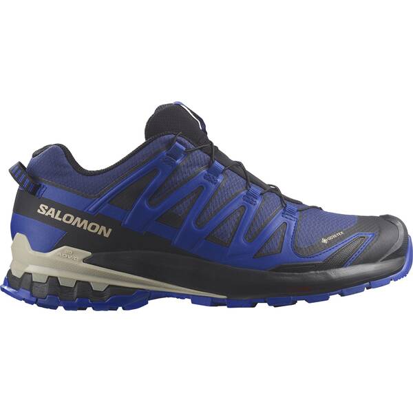 SHOES XA PRO 3D V9 GTX Bluepr/Surf W/Lap 000 13,5