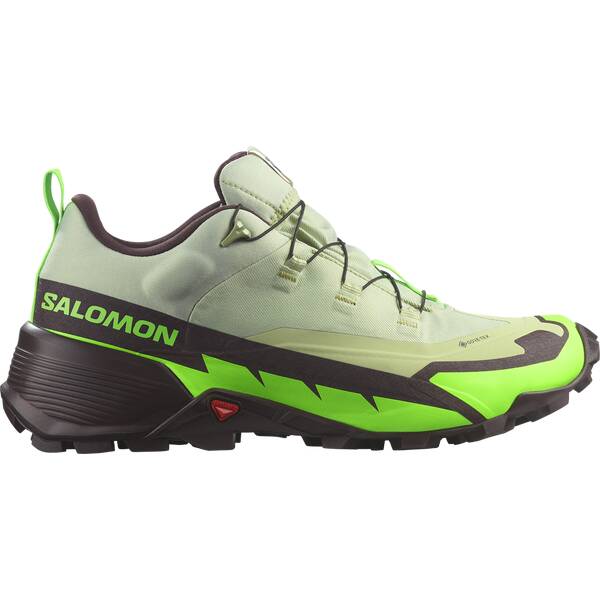 SALOMON Herren Multifunktionsschuhe SHOES CROSS HIKE GTX 2 Desert Grgeck Cho