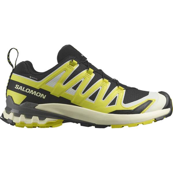 SALOMON Herren Trailrunningschuhe SHOES XA PRO 3D V9 GTX Black Sulphr Pewt