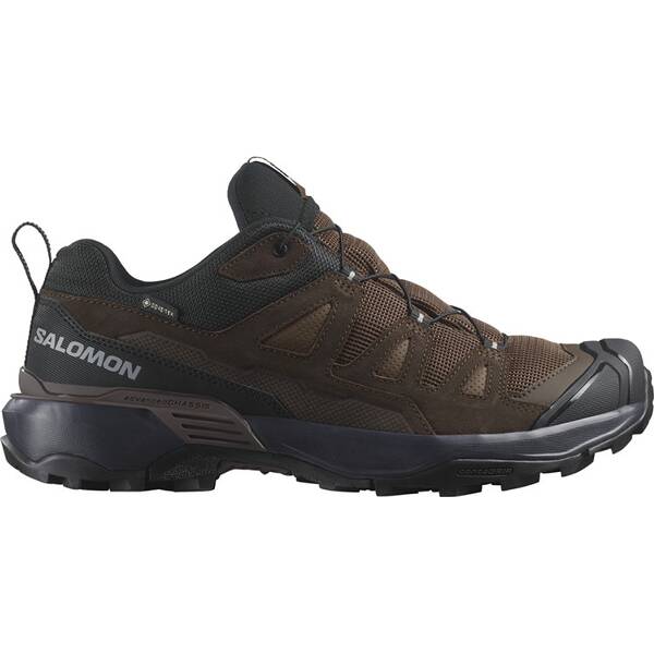 SALOMON Herren Multifunktionsschuhe SHOES X ULTRA 360 LTR GTX Dkeart/Dlciso