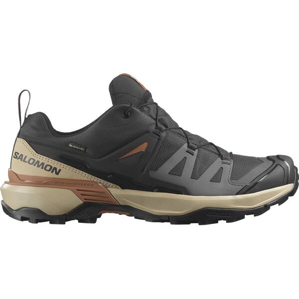 SALOMON Herren Multifunktionsschuhe SHOES X ULTRA 360 GTX Phantm Sfari Caram