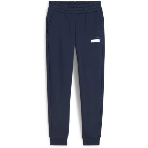 ESS+ 2 Col Logo Pants FL cl B 014 164