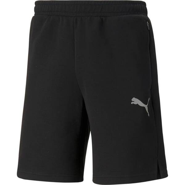 PUMA Herren Shorts EVOSTRIPE Shorts 8