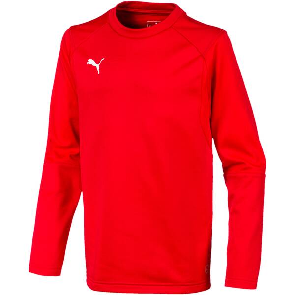 PUMA Kinder Sweatshirt LIGA Training Sweat Jr