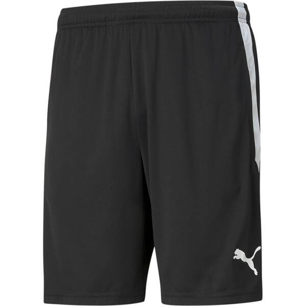 PUMA Herren Shorts teamLIGA Training Shorts