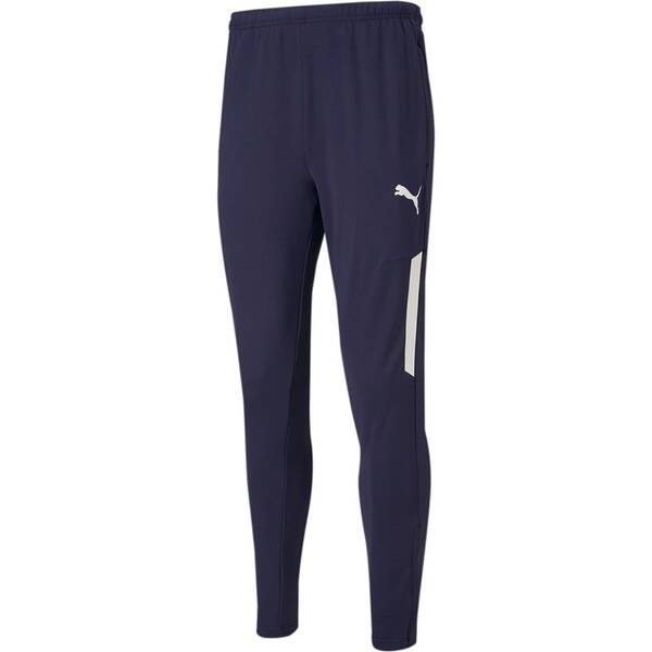 PUMA Herren Sporthose teamLIGA Training Pants Pr