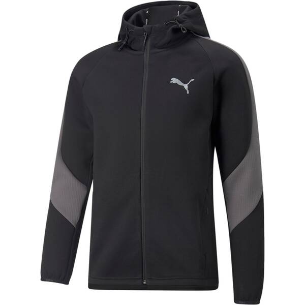 PUMA Herren Kapuzensweat Evostripe Full-Zip Hoodie