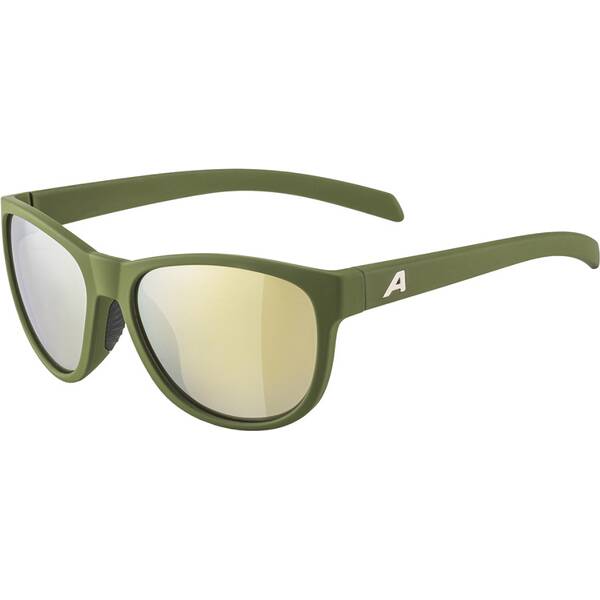 ALPINA Herren Brille NACAN II