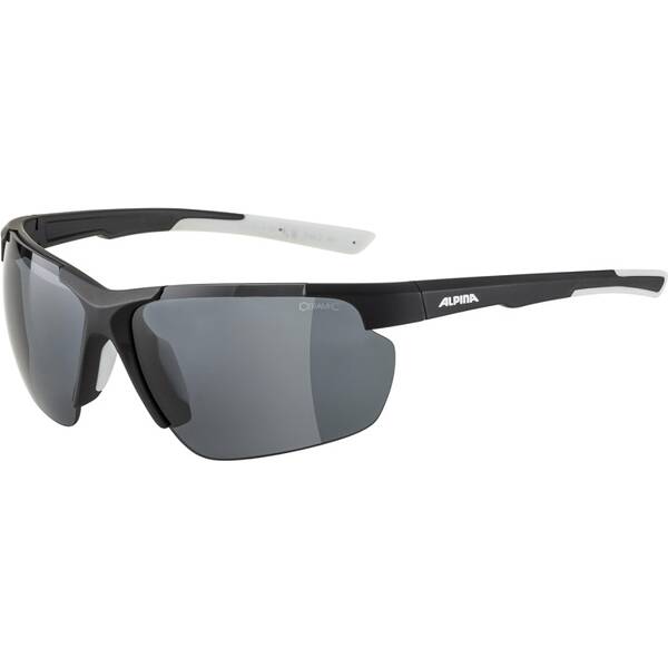 ALPINA Herren Brille DEFEY HR