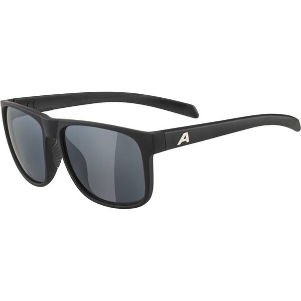 ALPINA Herren Brille NACAN III