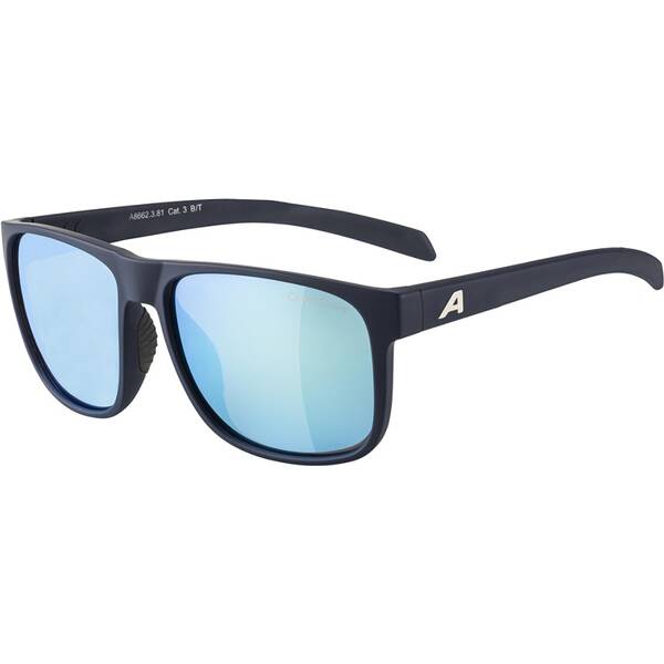 ALPINA Herren Brille NACAN III