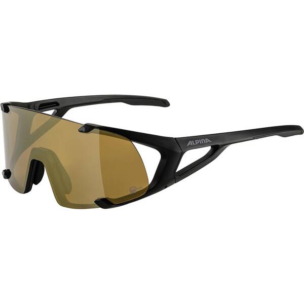 ALPINA Herren Brille HAWKEYE S Q-LITE