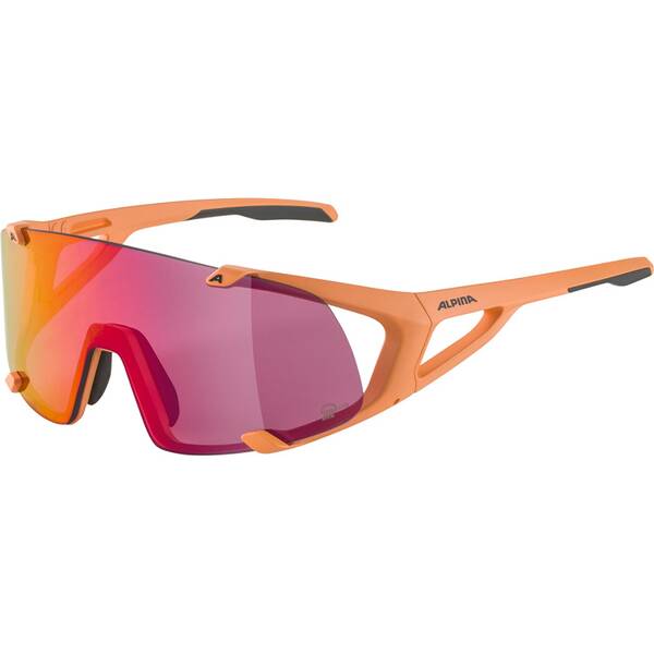 ALPINA Herren Brille HAWKEYE S Q-LITE