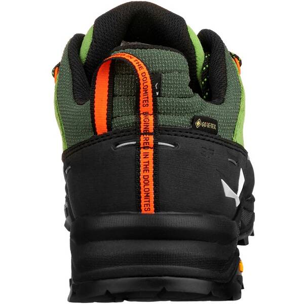 SALEWA Herren Trekkinghalbschuhe ALP TRAINER 2 GTX M PG7747