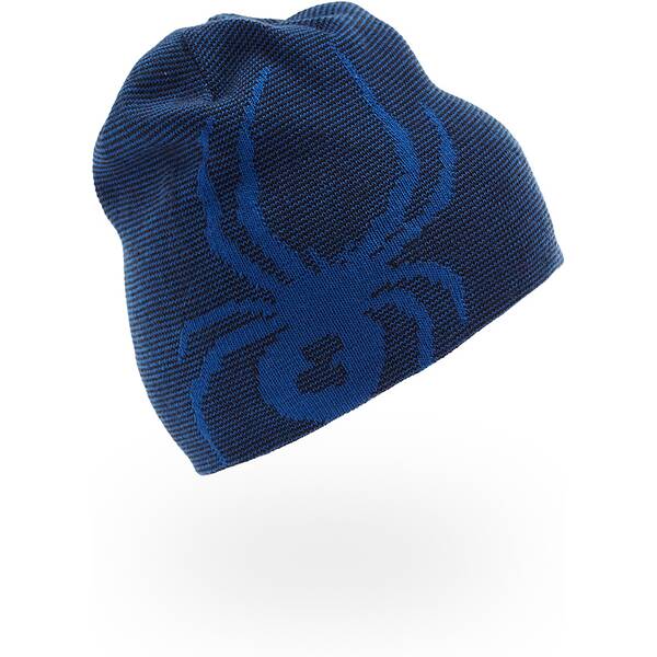 REVERSIBLE BUG 427 -