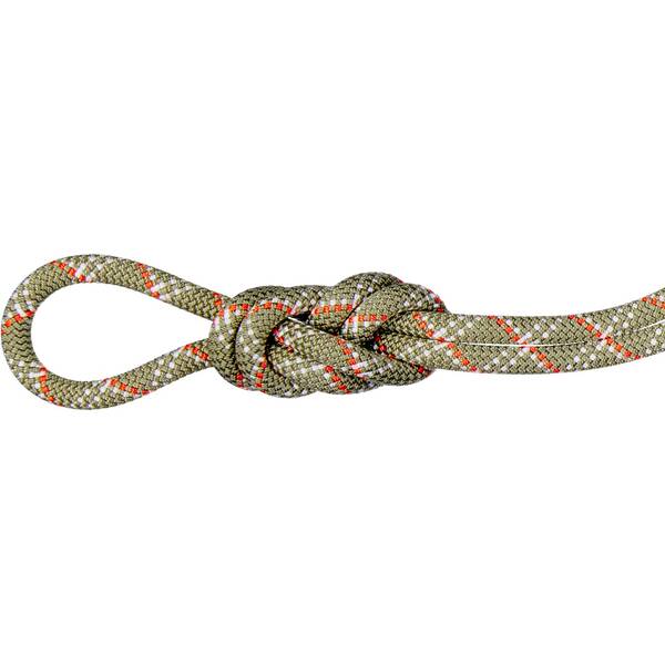 MAMMUT  9.5 Gym Classic Rope