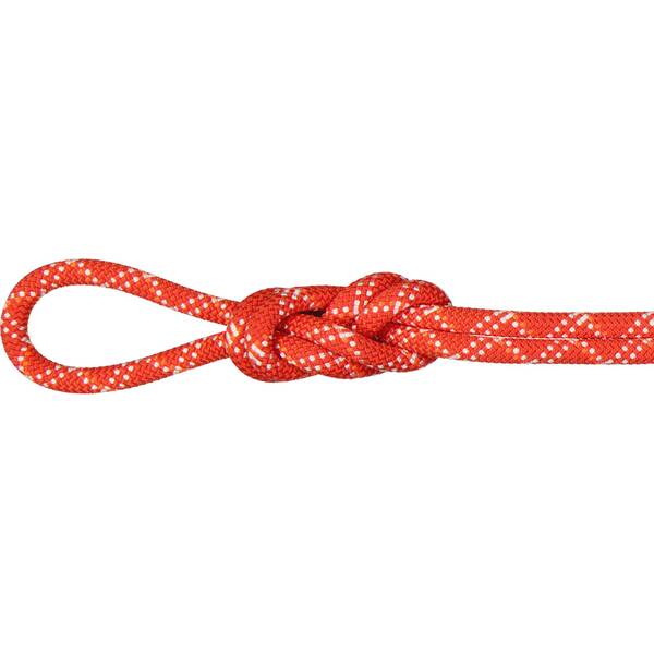 MAMMUT  9.5 Gym Classic Rope