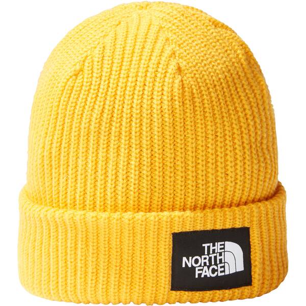 SALTY LINED BEANIE 56P -