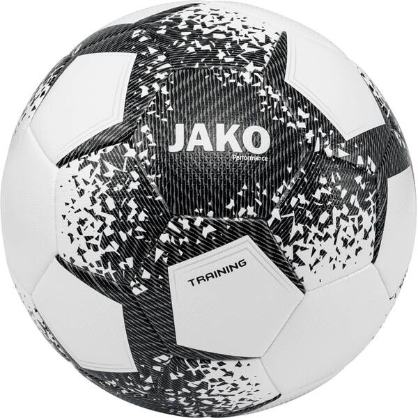 Trainingsball Performance 701 5