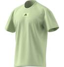 Vorschau: ADIDAS Herren Shirt M FV T