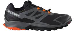 Vorschau: SALOMON Herren Trailrunningschuhe SHOES XA NEKOMA GTX Phantm/QuSh/Vibrant