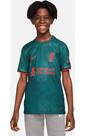 Vorschau: NIKE Kinder Fantrikot FC Liverpool 22/23