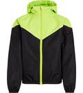 BLACK NIGHT/GREEN LI
