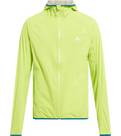 GREEN LIME