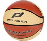 Vorschau: PRO TOUCH Basketball Harlem 300