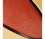 Vorschau: PRO TOUCH Basketball Harlem 300