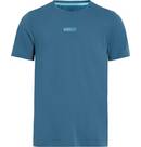 BLUE PETROL