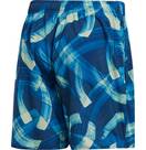 Vorschau: ADIDAS Herren Parley Allover Print Shorts