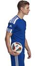 Vorschau: ADIDAS Herren Trikot Squadra 21