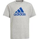 Vorschau: ADIDAS Kinder Shirt T-Shirt Badge of Sport Sum