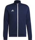 Vorschau: ADIDAS Herren Jacke Entrada 22 (normal & lang)