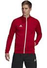 Vorschau: ADIDAS Herren Jacke Entrada 22 (normal & lang)