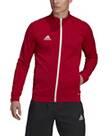 Vorschau: ADIDAS Herren Jacke Entrada 22 (normal & lang)