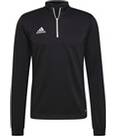 Vorschau: ADIDAS Herren Sweatshirt Entrada 22 Training (normal & lang)