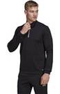 Vorschau: ADIDAS Herren Sweatshirt Entrada 22 Training (normal & lang)