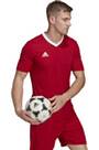 Vorschau: ADIDAS Herren Trikot Entrada 22 (normal & lang)