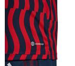 Vorschau: adidas Herren FC Bayern München Pre-Match Shirt
