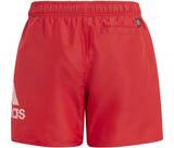 Vorschau: ADIDAS Kinder Badeshorts BOS CLX SL