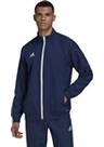 Vorschau: ADIDAS Herren Jacke Entrada 22 (normal & lang)