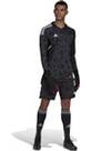 Vorschau: ADIDAS Herren Trikot CON22GK JSY L P