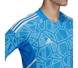 Vorschau: ADIDAS Herren Trikot CON22GK JSY L P