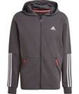 Vorschau: ADIDAS Herren Jacke MOTION FZ HOOD