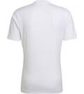 Vorschau: ADIDAS Herren Trikot Entrada 22 (normal & lang)