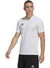 Vorschau: ADIDAS Herren Trikot Entrada 22 (normal & lang)