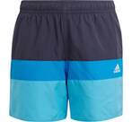 Vorschau: adidas Kinder Colorblock Badeshorts