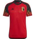 Vorschau: ADIDAS Herren Trikot RBFA H JSY